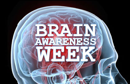 Brain Awareness Week 2019 (Pécs)